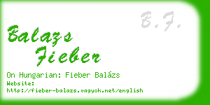 balazs fieber business card